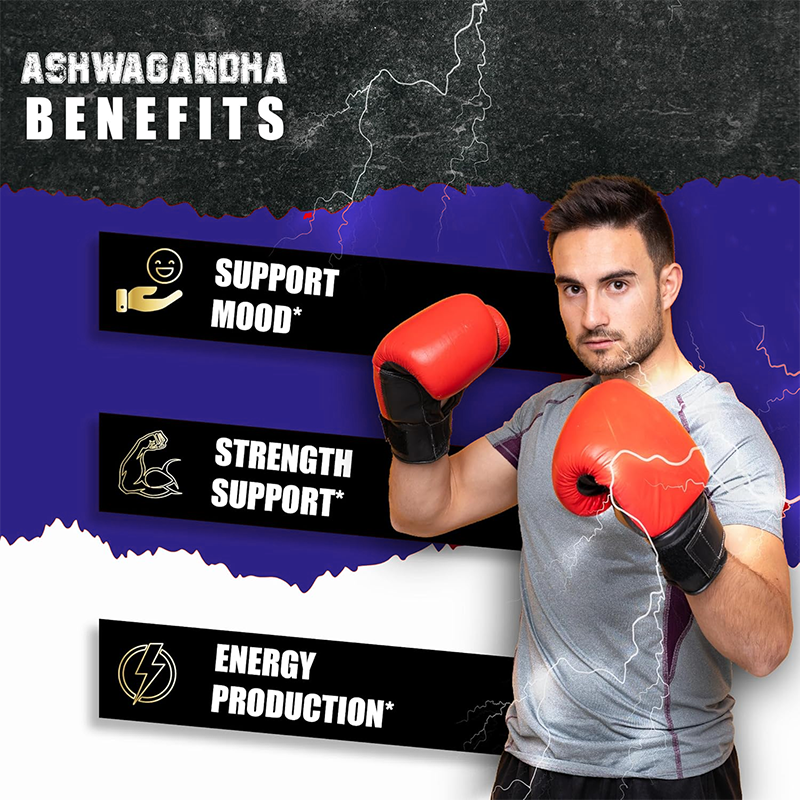 Powerful Herbal & Marine Blend - Herbal Wellness Blend ulasan dan harga