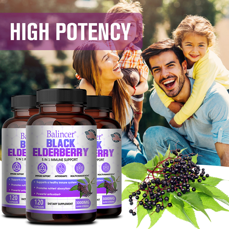 Black Elderberry Capsules - Vi - Wellness Quercetin ulasan dan harga